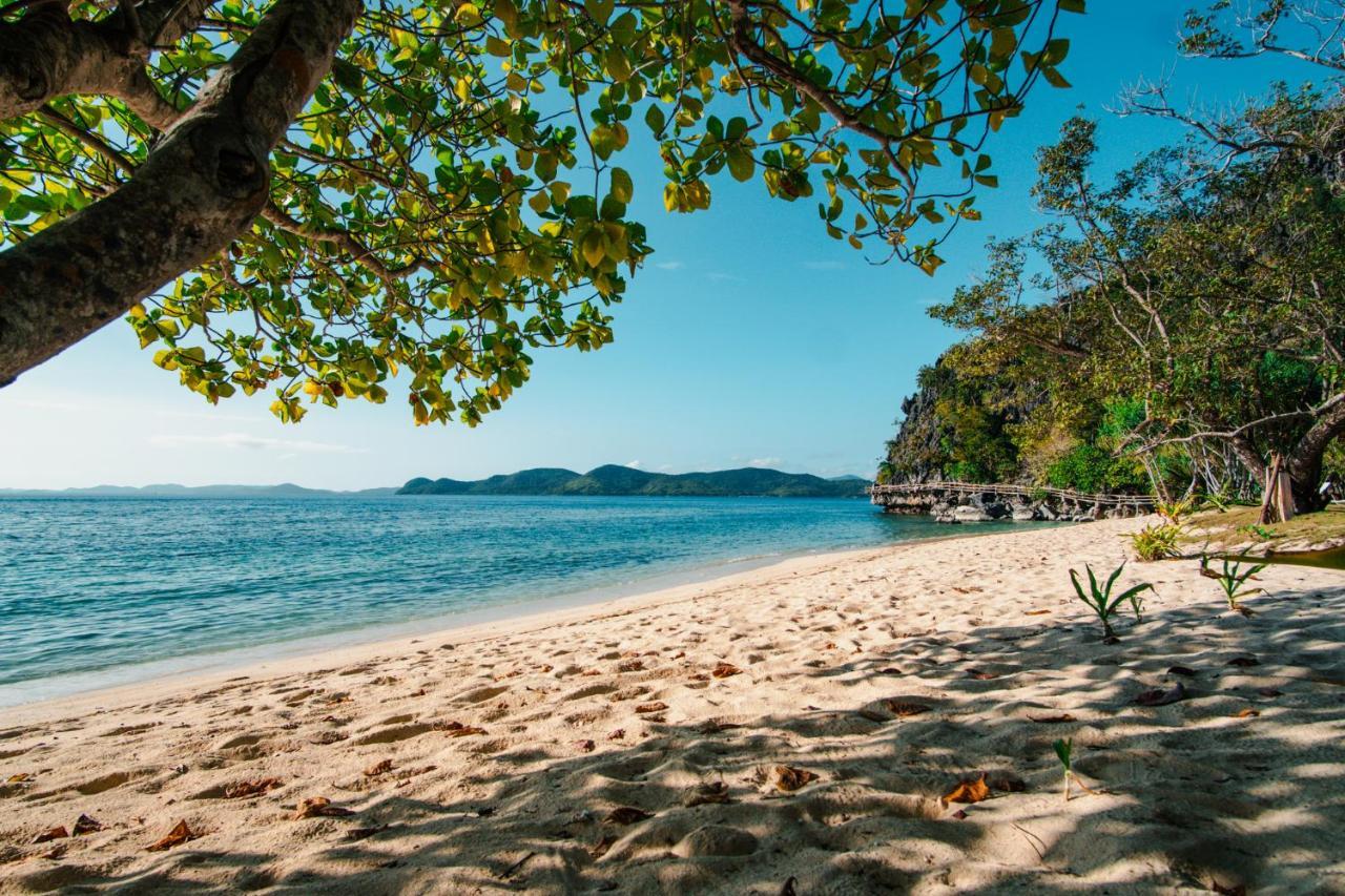 Sangat Island Dive Resort Corón Exterior foto